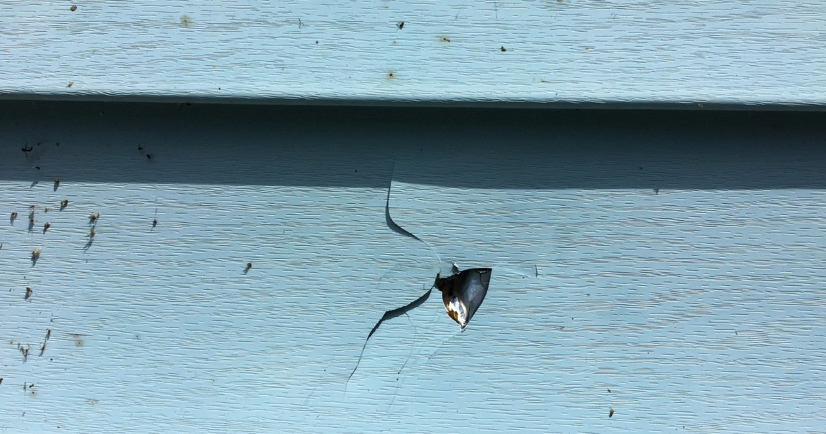 Potential Drawbacks of Vinyl Siding
